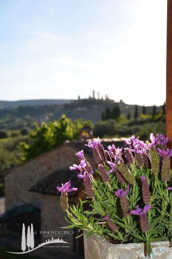 Il Paradisino San Gimignano'S Best Countryside Exterior photo